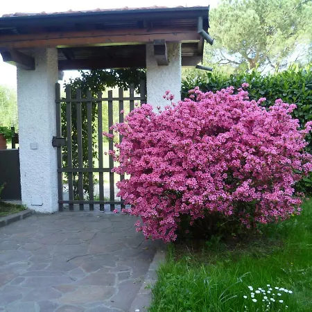 L'airone - Lago Maggiore Daire Monvalle