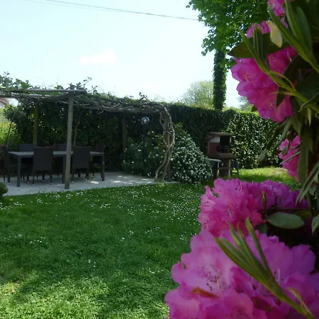 L'airone - Lago Maggiore Daire